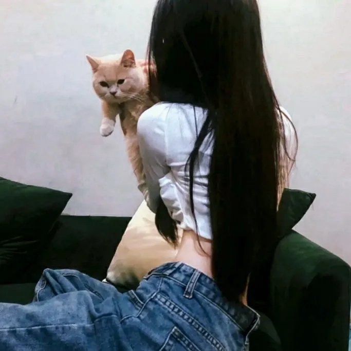暗潮缉凶